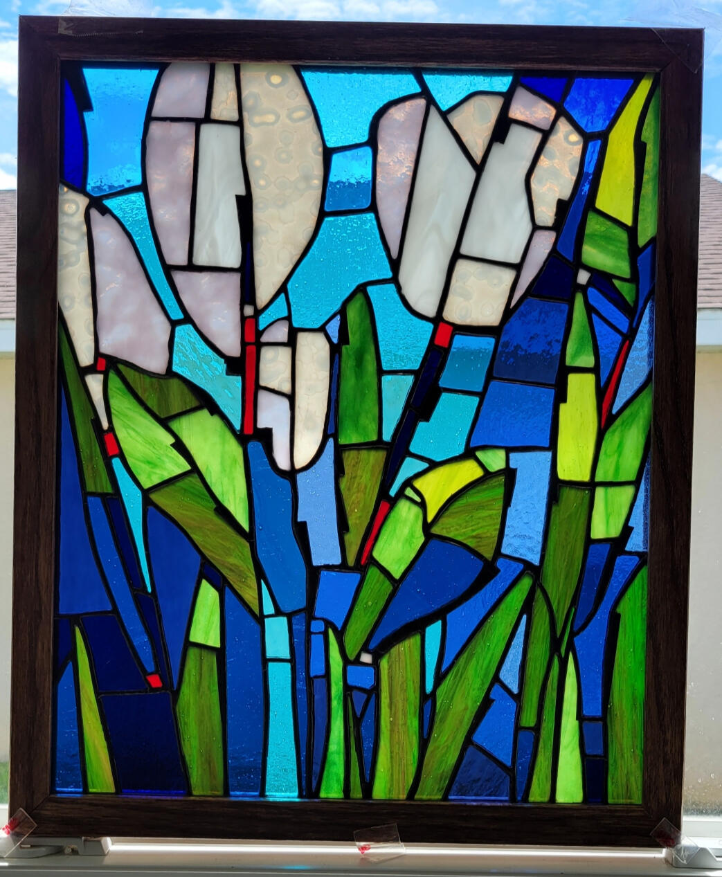 &quot;Tulipa of van de Wetering&quot; 16 x 19 in